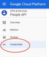Google Application - Credentials Menu