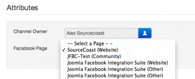 Facebook Page Selection