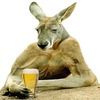 TieYaKangaroo's Avatar