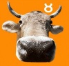 fb_1016410634's Avatar