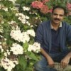 Shuja's Avatar
