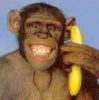 fb_565215492's Avatar
