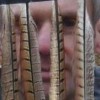fb_717316304's Avatar