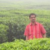 nanobalaji's Avatar
