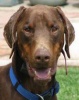 carbar's Avatar