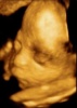 stewal's Avatar