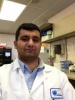 waqsha's Avatar