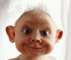 garbri's Avatar