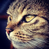 chrpre1's Avatar