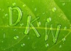 denwid's Avatar