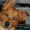 diemur's Avatar