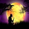 ankkal's Avatar