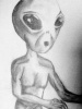 guibra's Avatar