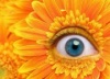 kulton's Avatar