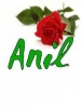 anikum's Avatar