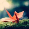 thathi's Avatar