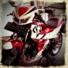 egisas's Avatar