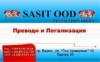sassas's Avatar