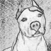 tetgon's Avatar