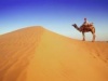 rajban's Avatar