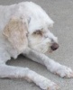mollyblume's Avatar