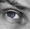 wicvan's Avatar