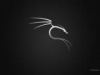 dardar's Avatar
