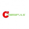 chird's Avatar