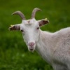 ethpar's Avatar