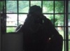 andtos's Avatar