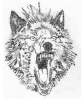 cuseur's Avatar
