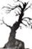 alechi1's Avatar
