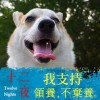 akiyu's Avatar