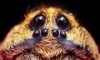 marlit's Avatar