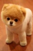 marspe's Avatar