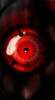 phoquá's Avatar