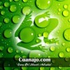cuamic's Avatar