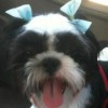 clibax's Avatar
