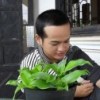 mắmdưa's Avatar