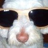 joãpac's Avatar