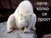 fb_1683632644's Avatar