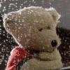 totdit's Avatar