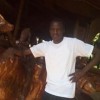 brimpa's Avatar