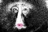 fb_100000545173606's Avatar