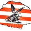 barand's Avatar