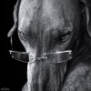 marmar7's Avatar