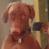 micnan's Avatar
