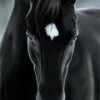 joagon's Avatar