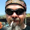 laulio's Avatar