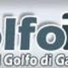 golweb's Avatar